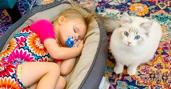 18 animali che hanno dei proprietari pazzi