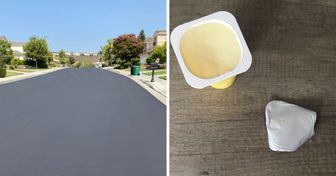 15 Foto che dimostrano come la perfezione esista davvero