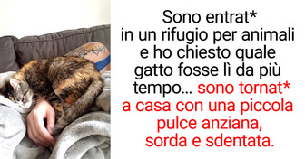 14 immagini toccanti di gesti gentili che risolleveranno il tuo umore