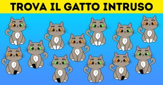 Sfida: trova l’intruso nelle 16 foto in meno di 2 minuti