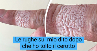 16 foto di cose quotidiane viste da angolazioni insolite