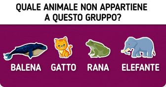 Test: allena la tua mente e usando la tua logica cerca quello che non appartiene al gruppo