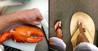 18 foto che mostrano che anche le cose ordinarie possono raggiungere dimensioni inimmaginabili