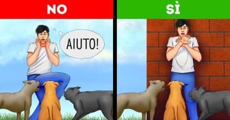 8 falsi miti vs consigli di sopravvivenza che funzionano davvero