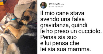 13 foto toccanti che dimostrano che le meraviglie accadono