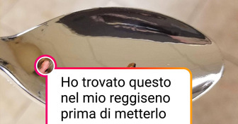 16 persone che si sono imbattute in animali quando meno se lo aspettavano