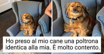 13 foto che ti scalderanno il cuore