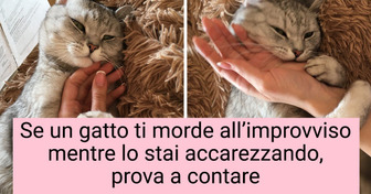 12 fatti che provano che i gatti sono un capolavoro della natura