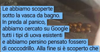 15 persone che hanno trovato qualcosa di molto più interessante di un portafoglio pieno di soldi