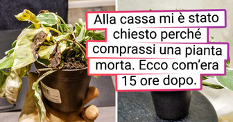 19 persone le cui mani potrebbero far sbocciare anche un bastoncino