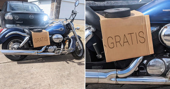 25 persone che sono state così fortunate da ottenere cose incredibili gratuitamente