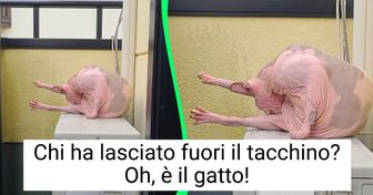 15+ immagini impressionanti che inganneranno i tuoi occhi