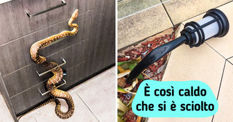 19 foto che dimostrano che bisogna avere coraggio per vivere in Australia