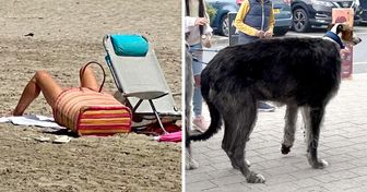 15 immagini strane che ci hanno fatto riguardare le foto due volte