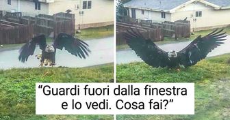 18 animali che sembrano provenire da un altro pianeta