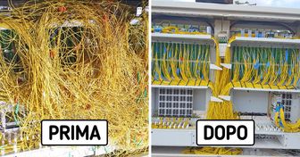 15+ foto stranamente soddisfacenti che hanno a che fare con l’ordine e la precisione