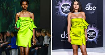 15+ abiti da passerella che sembrano completamente diversi sulle celebrità
