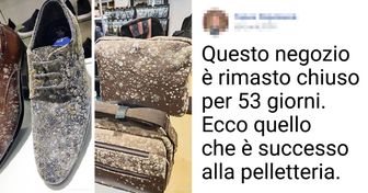 19 risposte illustrative alla domanda “Cosa accadrebbe se...”