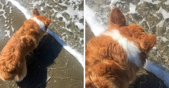 19 coincidenze che si possono definire come “una possibilità su un milione”