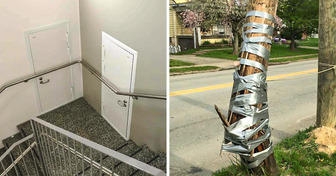 15+ impiegati che devono dare delle spiegazioni ai loro capi