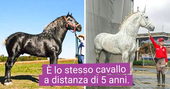 19 Cose straordinarie che dovresti vedere almeno una volta nella vita