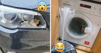 21 persone la cui giornata è andata talmente male che non potevano fare altro che riderci sopra