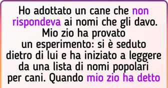 25+ proprietari di animali alle prese con i nomi dei loro cuccioli