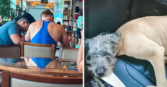 15 foto enigmatiche che non sono come sembrano a prima vista