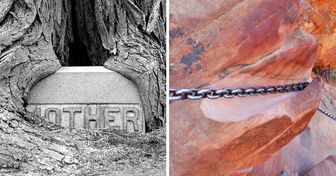 20 foto impressionanti che mostrano il potere infinito del tempo