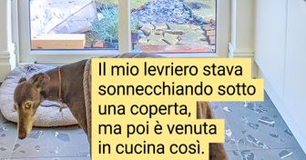 Più di 15 foto che sono state fatte proprio al momento giusto