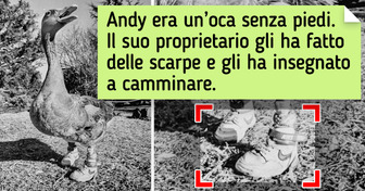 17 persone che non danno altro che puro amore a questo mondo