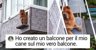 10+ foto che dimostrano che la creatività delle persone non conosce limiti