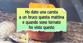 18 persone hanno fatto piccole scoperte che hanno reso diverso il loro mondo