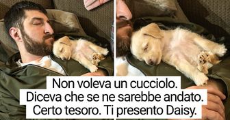 20 foto che dimostrano che si può trovare l’amore nel modo più inaspettato