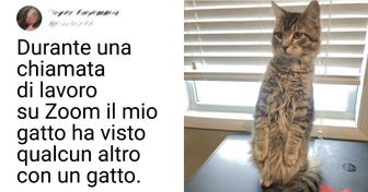 15 foto che dimostrano che i gatti governano il mondo