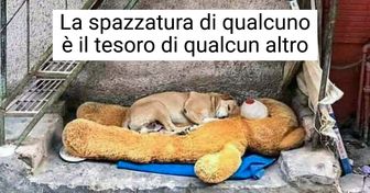 15 Foto che ti renderanno grato della vita che hai