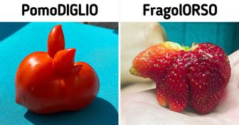 20 volte in cui la frutta e la verdura hanno preso una piega inaspettata