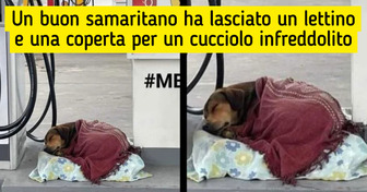 L’amore è l’unica cura di cui il mondo ha bisogno: ecco 18 foto che lo dimostrano