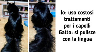 20 volte in cui l’universo ha voluto prendersi un giorno libero