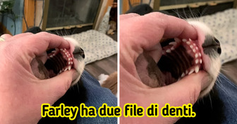 Oltre 15 animali con caratteristiche così inusuali da essere uniche