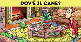 Prova quanto sia affilata la tua vista trovando in queste immagini gli oggetti persi