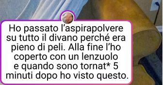 20+ pet che nonostante la loro birichinaggine troveranno un posto speciale nel tuo cuore