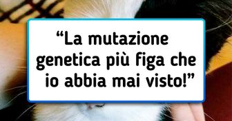 17 Animali che Madre Natura si è divertita a creare