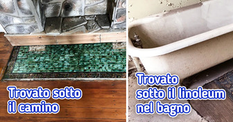 17 foto dimostrano che a volte anche la nostra casa può sorprenderci