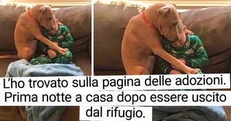 20 genitori di animali e i loro “figli” che si adorano a vicenda oltre ogni immaginazione.