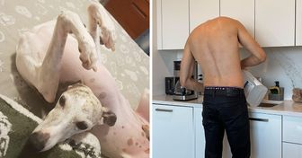 15+ foto che ci hanno lasciato più confusi che mai