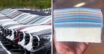 Oltre 20 foto che danno grande soddisfazione