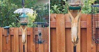 15 volte in cui Madre Natura ha toppato alla grande