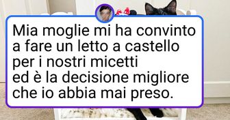 16 adorabili umani che non conoscono limiti nel viziare i loro animali