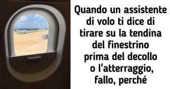 20 cose che gli assistenti di volo vorrebbero non vedere più